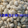 湖南長沙白色鵝卵石廠 長沙白色鵝卵石廠家 湖南鵝卵石