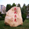 廠家供應(yīng)戶外景區(qū)公園綠地立柱景觀石 材質(zhì)可定制