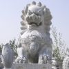 供應(yīng)【安特】漢白玉獅子石雕(圖)