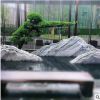 定制泰山石切片組合 房產(chǎn)裝飾自然石園林造景雪浪石切片擺件