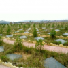 石碑，公墓，刻碑機(jī)，公益性公墓