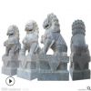 嘉祥石雕廠家石雕石獅 花崗巖獅子雕刻 專業(yè)廠家定做青石獅子
