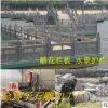山東青島金獅子石雕廠家直銷水景園林雕花欄桿石拱橋石亭組合定制
