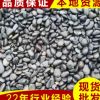 人選黑色大鵝卵石 園林景觀拋光鵝卵石批發(fā) 灰色礫石南京鵝卵石