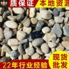 廠家直銷 江蘇鵝卵石加工 園林綠化專用鵝卵石 鵝卵石批發(fā)