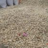 碎花石子 雨花石裕弘源鵝卵石質(zhì)優(yōu)價(jià)廉 質(zhì)量保證