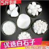 白石子廠家 水洗石 白色鵝卵石水洗石 多肉鋪面用