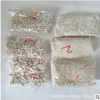 天然菲律賓沙 細沙 天然白色珊瑚沙 玩具沙 魚缸地臺鋪底家居裝飾