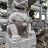 石雕獅子 漢白玉獅子 迎賓獅子 招財獅子