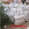定做漢白玉石雕十二生肖鼠?；⑼谬埳唏R羊猴雞狗豬圓林雕塑擺件