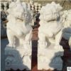 墓地專用石雕獅子陵園專用小石頭獅子 精品門口石獅子批發(fā)零售