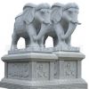 石雕大象一對(duì)晚霞紅門(mén)口石象廠家直銷(xiāo)庭院漢白玉象雕刻動(dòng)物擺件