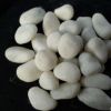 供應(yīng)機(jī)制石-機(jī)制白石-機(jī)制白色鵝卵石-機(jī)制鵝卵石-深圳機(jī)制白色鵝卵石-機(jī)制石廠家