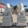 石雕獅子漢白玉石獅子門(mén)口雕刻風(fēng)水招財(cái)獅子天安門(mén)故宮獅子一對(duì)