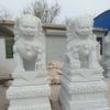 廠家直銷(xiāo)石雕漢白玉石獅子雕塑青石石動(dòng)物雕塑看門(mén)鎮(zhèn)宅家用擺件