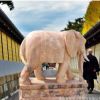 晚霞紅石雕大象門(mén)口擺放看門(mén)鎮(zhèn)宅之祥物仿天安門(mén)石獅子貔貅麒麟
