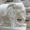 定制漢白玉仿真石雕大象 各種石雕裝飾擺件 專業(yè)石雕加工制作工廠