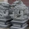 福建惠安崇武石雕 青石獻(xiàn)錢獅風(fēng)水?dāng)[件 雕刻獻(xiàn)子獅風(fēng)水