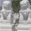 廠家直銷(xiāo)加工定制石獅子手工雕刻寺廟銀行商場(chǎng)鎮(zhèn)宅看門(mén)擺件
