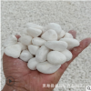 園林景觀裝飾用白色鵝卵石 白色石子 白色水洗石 白玉石 廠家直供